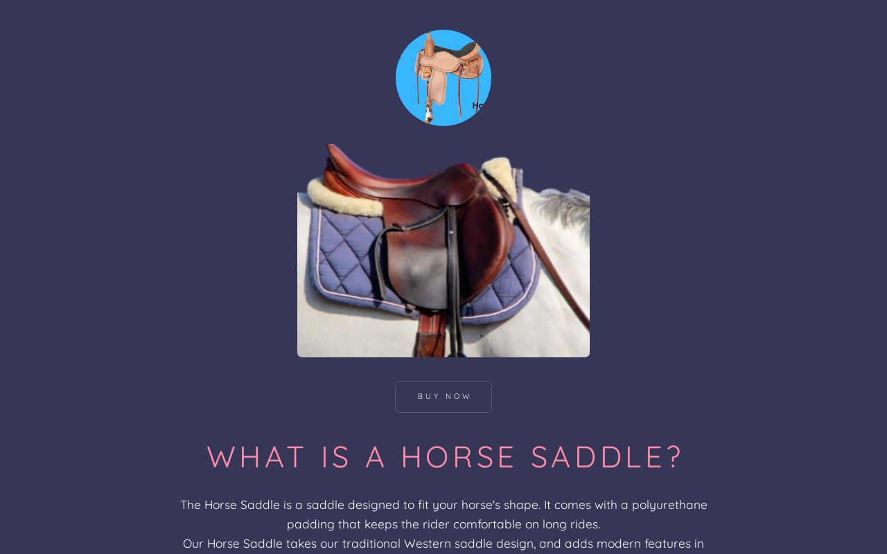 Horse Saddle at your Budget Price