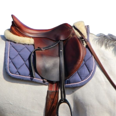 Horse Saddle